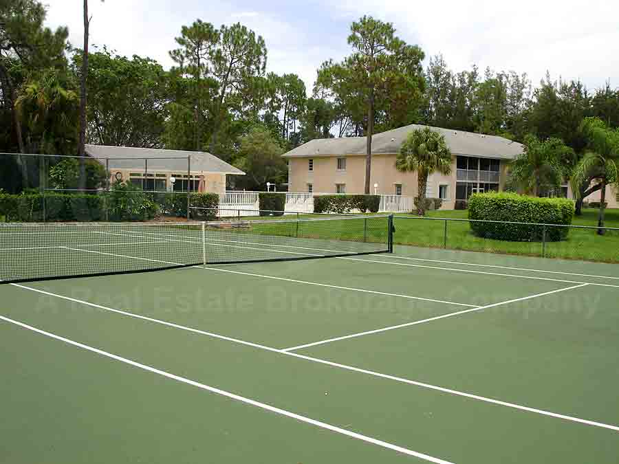 TIMBER LAKE Tennis Courts